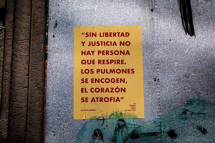 Chilean Words