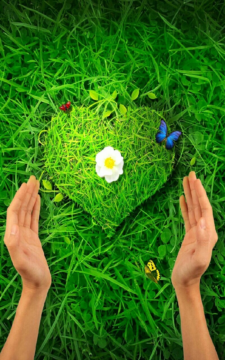 Nature Heart