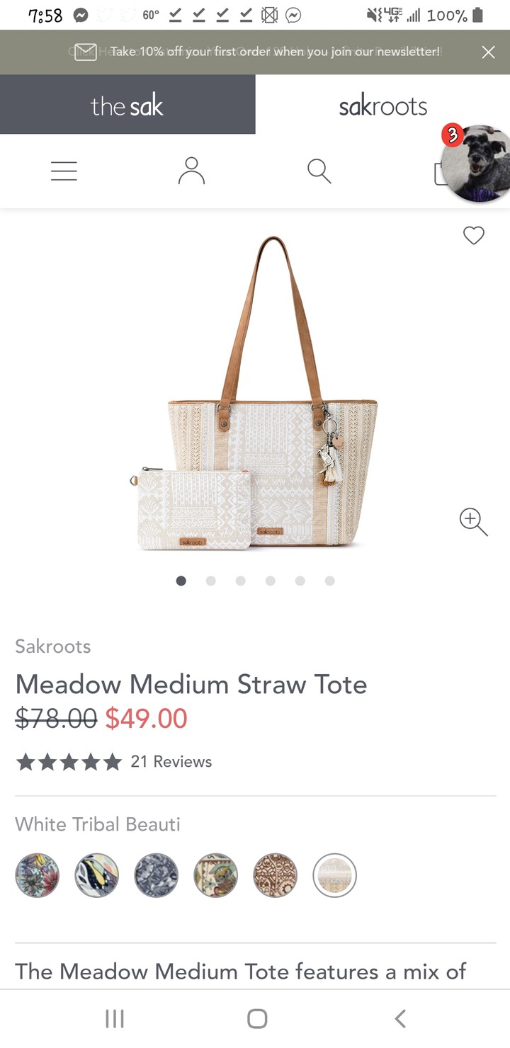purse sak roots