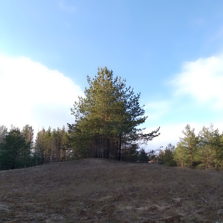 nature