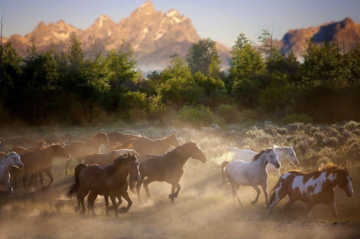 Nature's Beauty