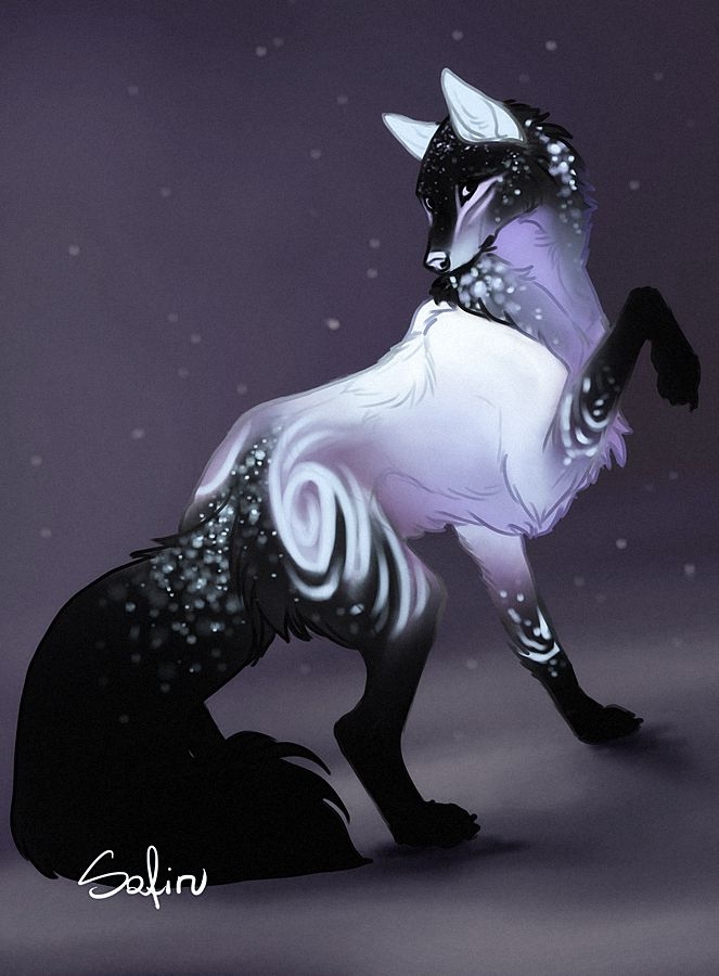 wolf