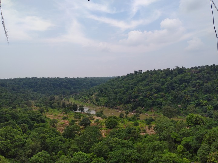 nature