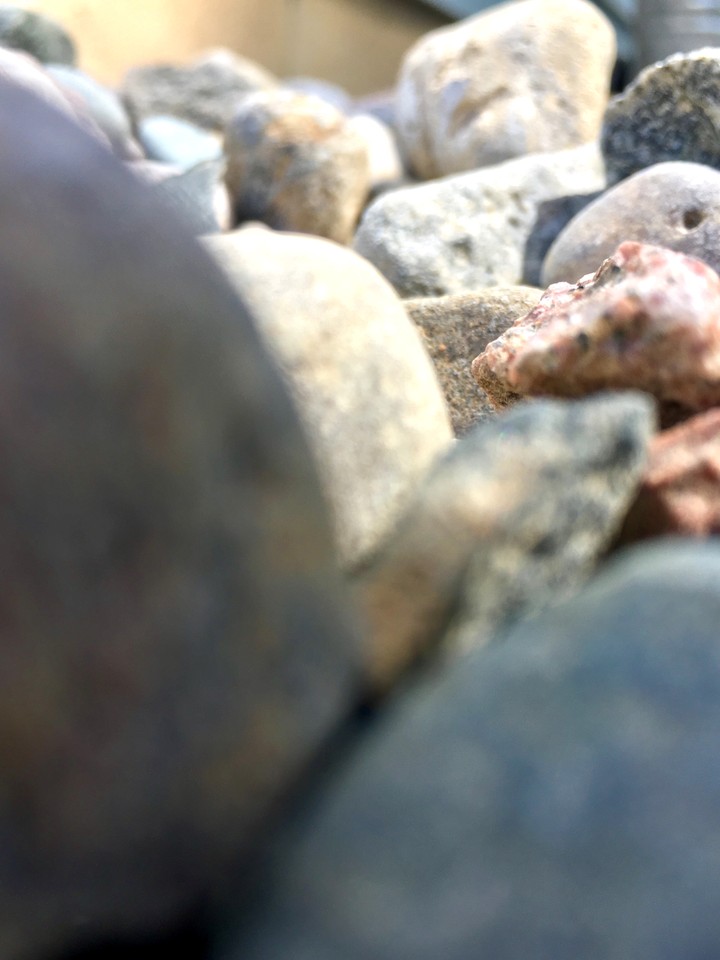 summer rocks