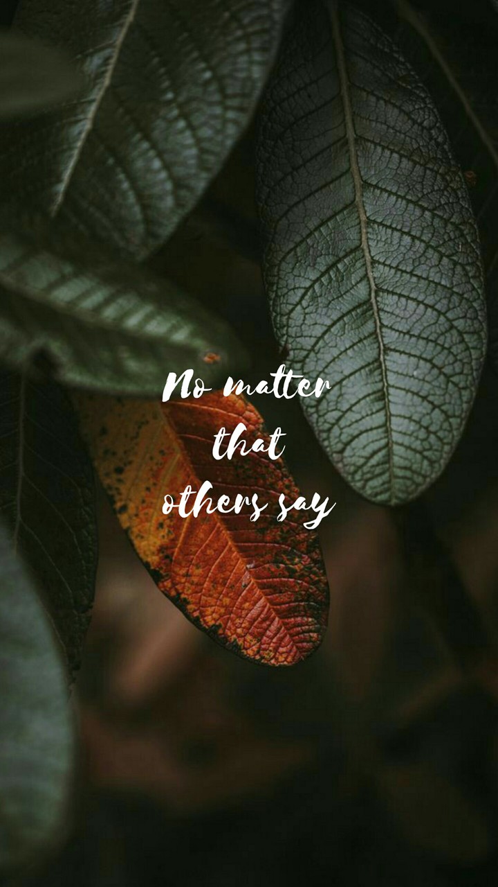 Quotes