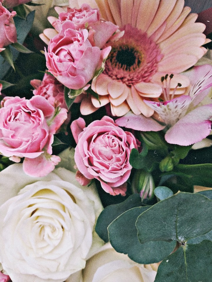 Flawers