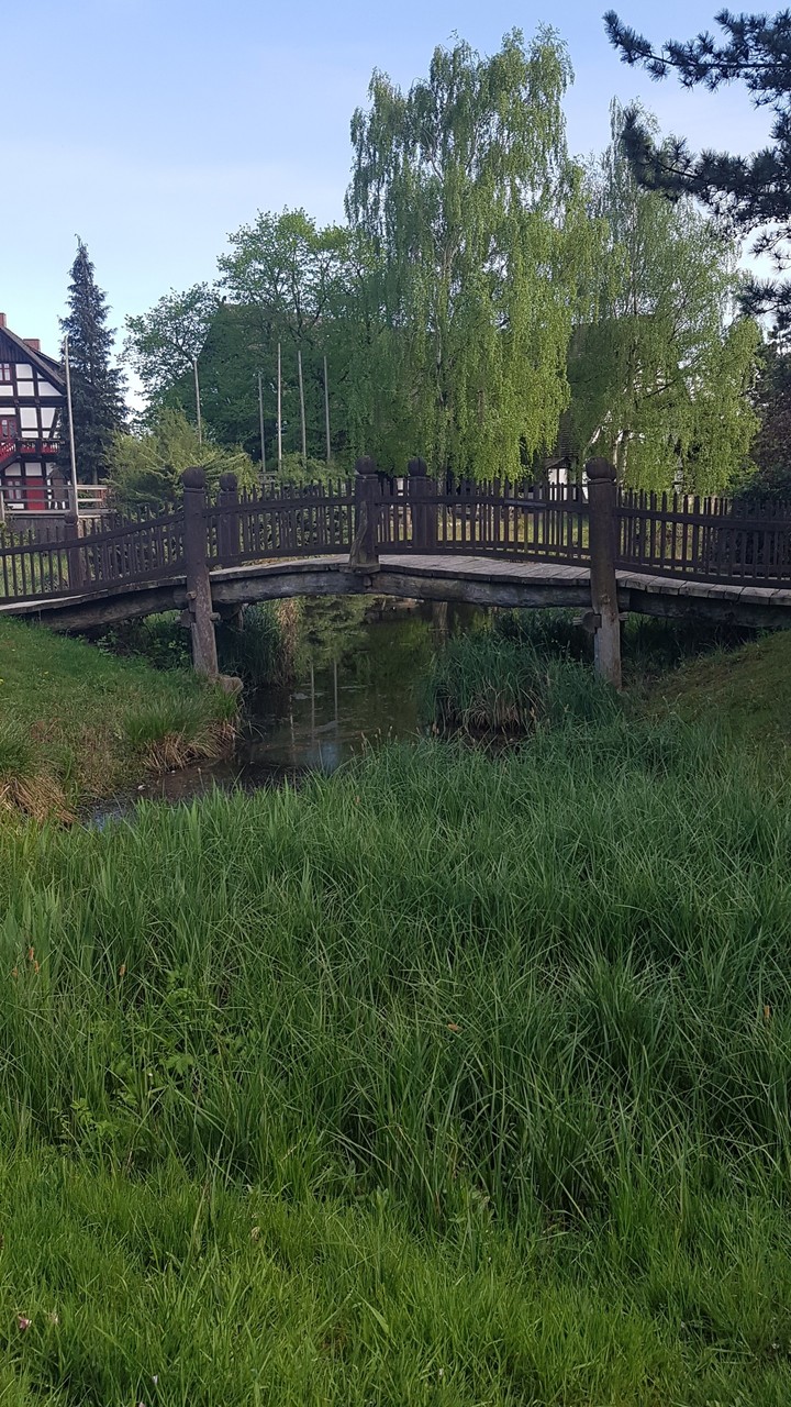 a bridge