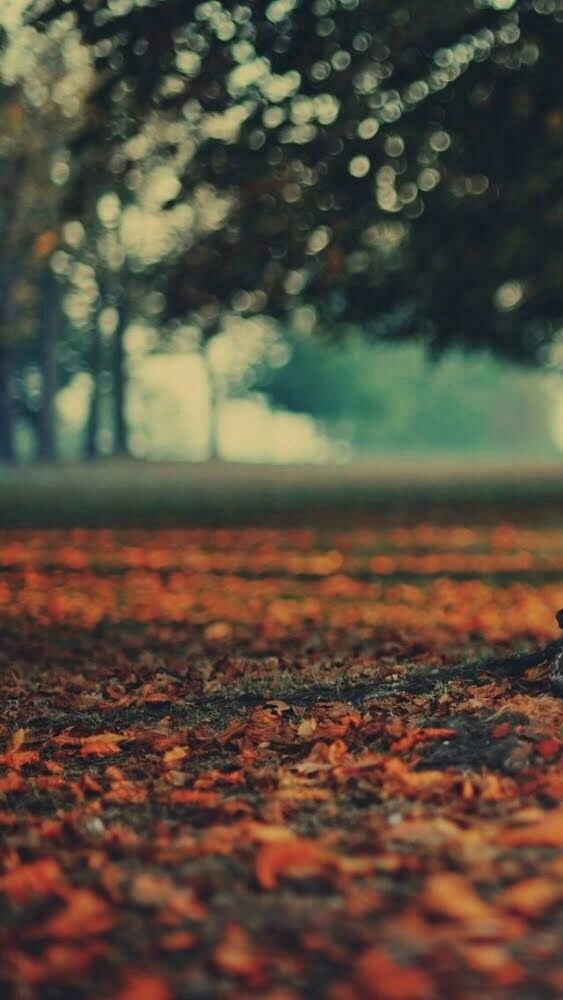 Path