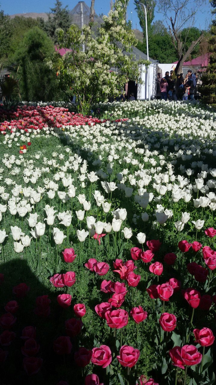 ایران