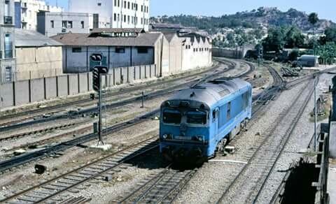 DP Tunis