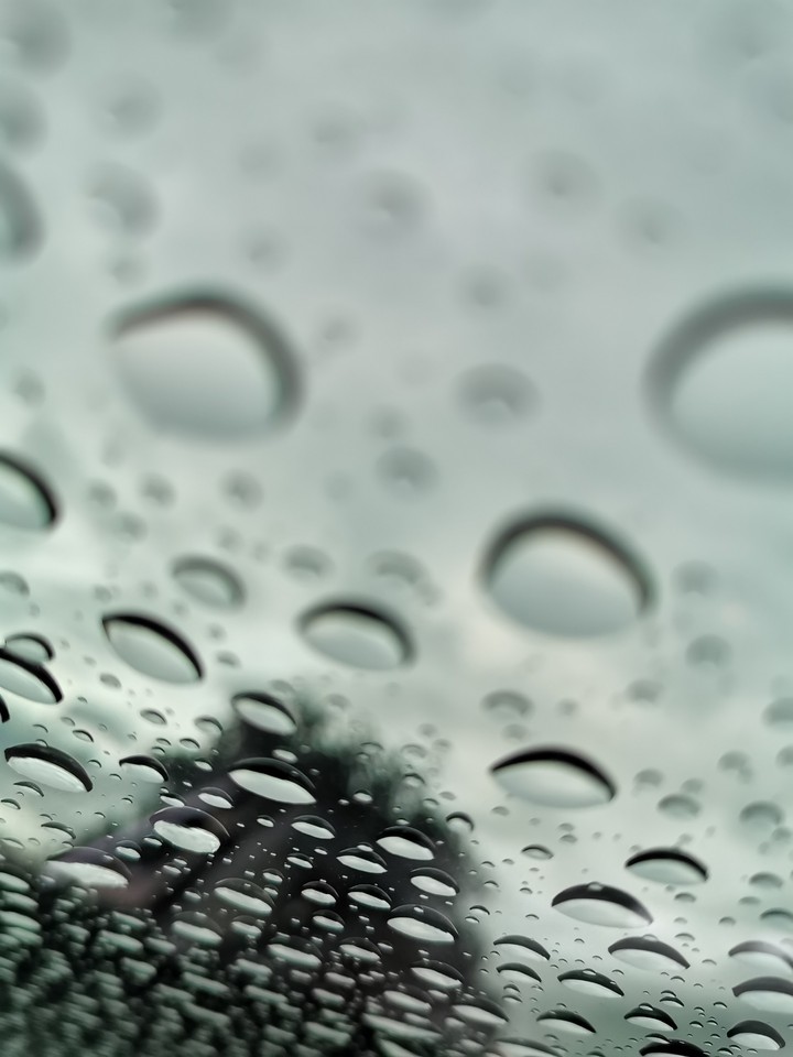 - water -