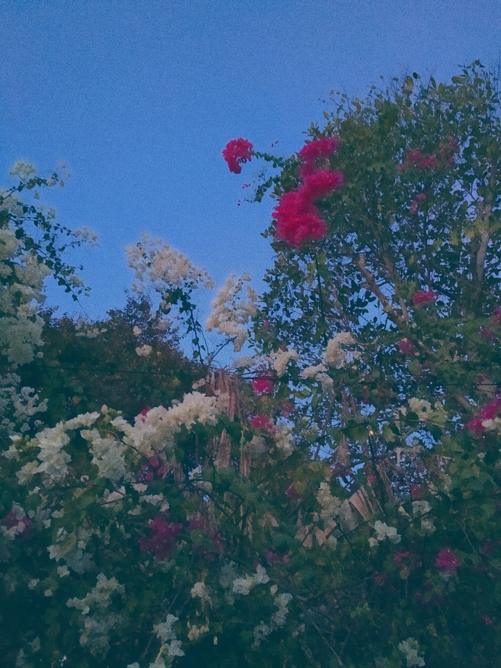 Noise