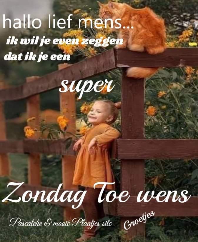 leventeksten
