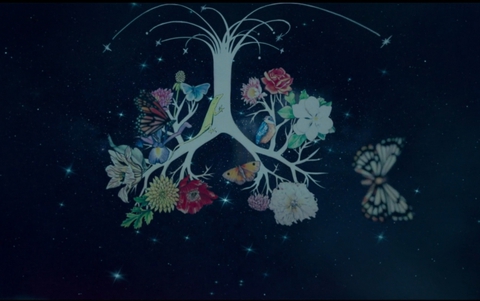 lungs flower stars