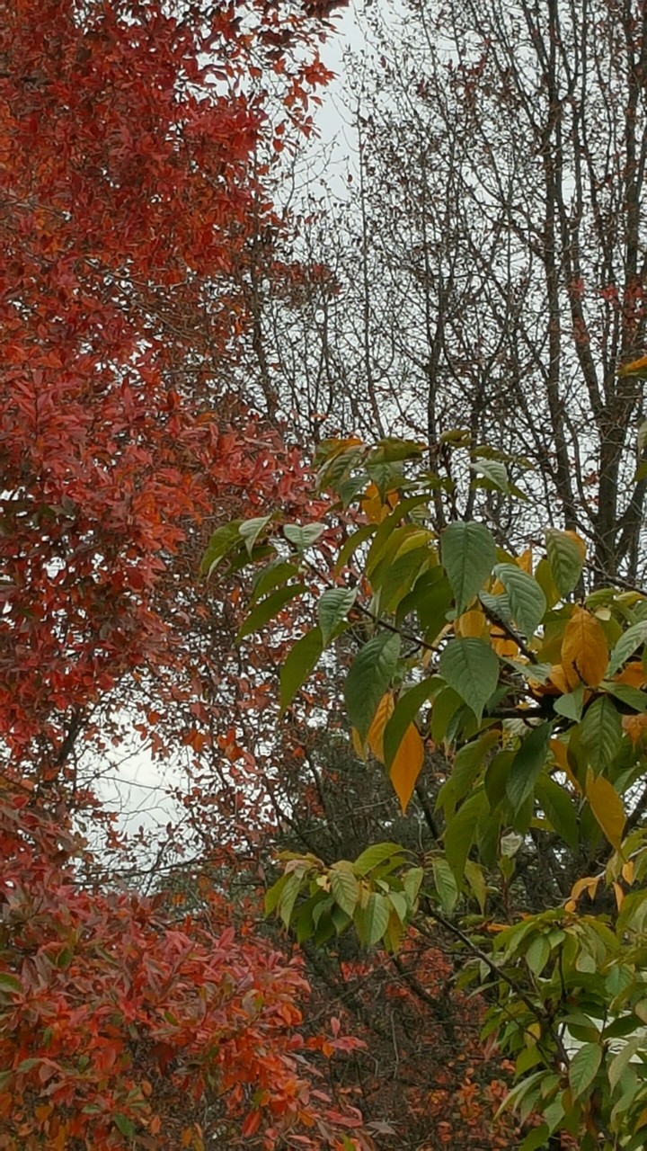 season change