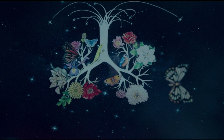 lungs flower stars