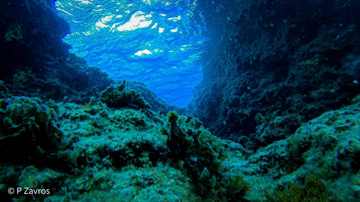 an underwater spot