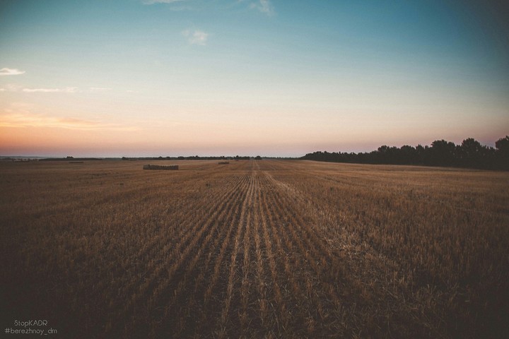 Field