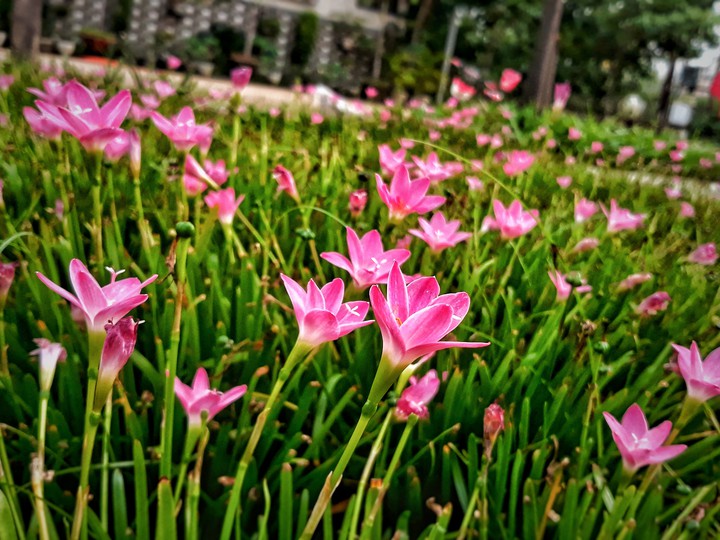 trip_00__graphy