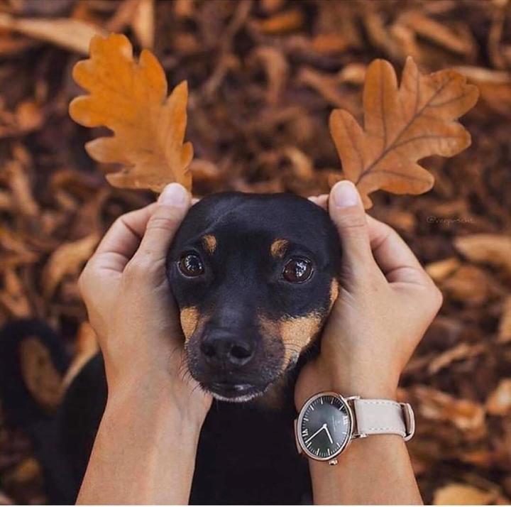 *