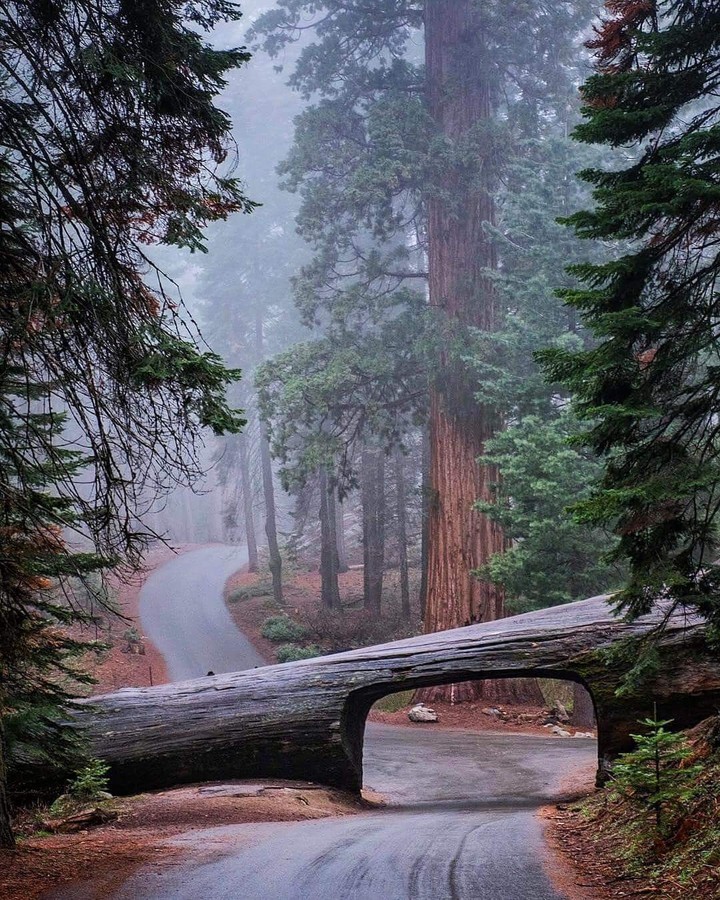 california