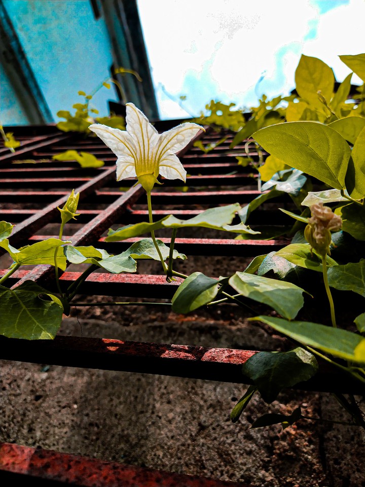 my photography
