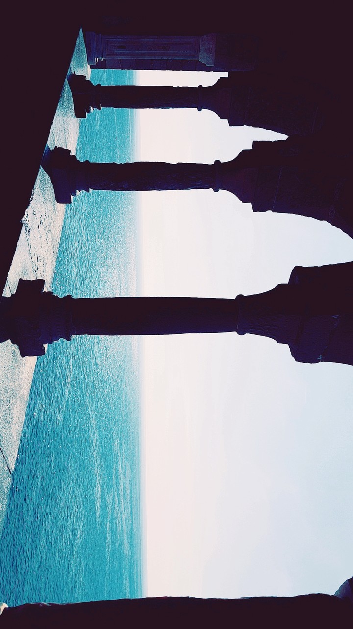 view
