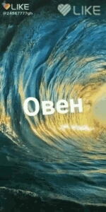из лайка