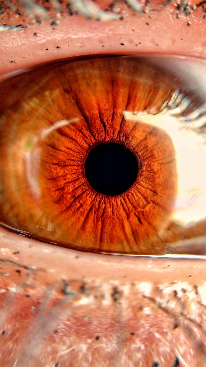 Ojo rojo