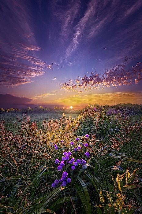 nature