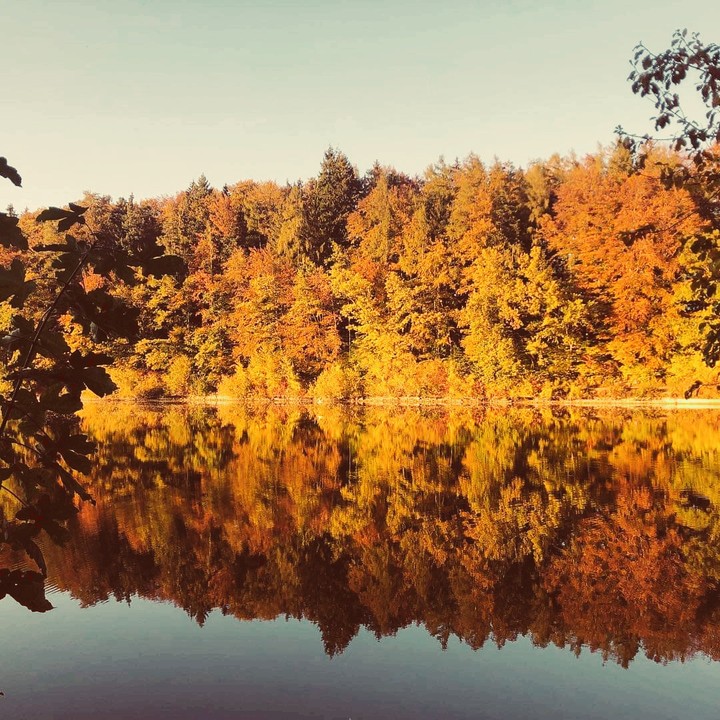 autumn