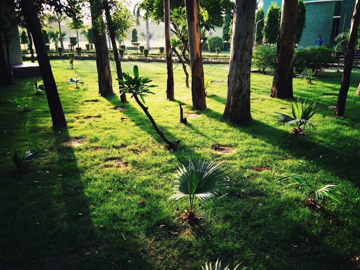 Nature at it's best