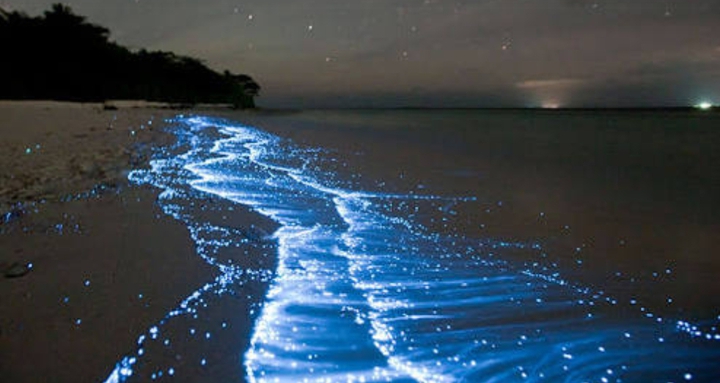 beach