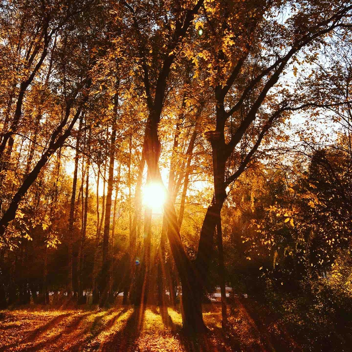 Autumn