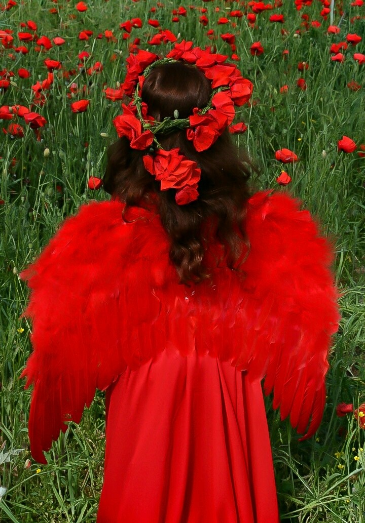 Red Wings in the Field
