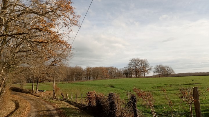 campagne de Bourgogne
