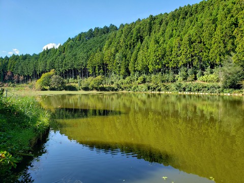 山奥の枯れない神秘な池