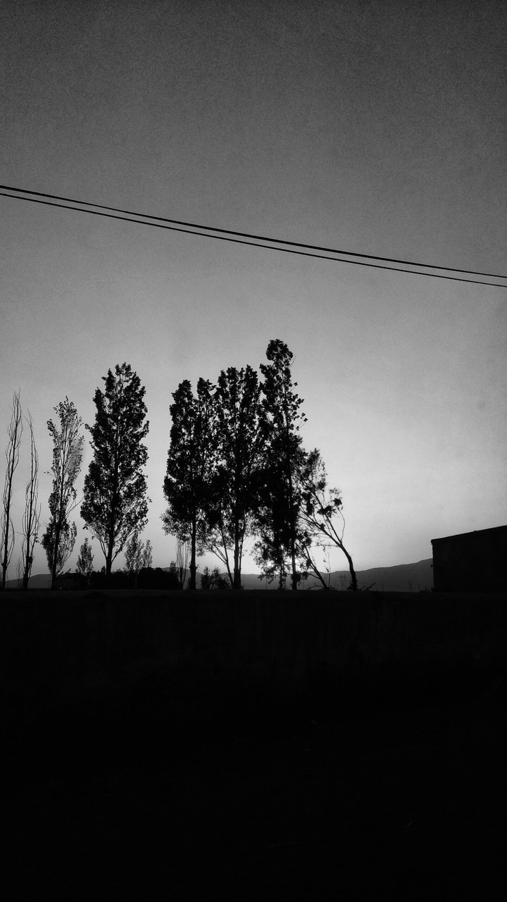 Karanlık