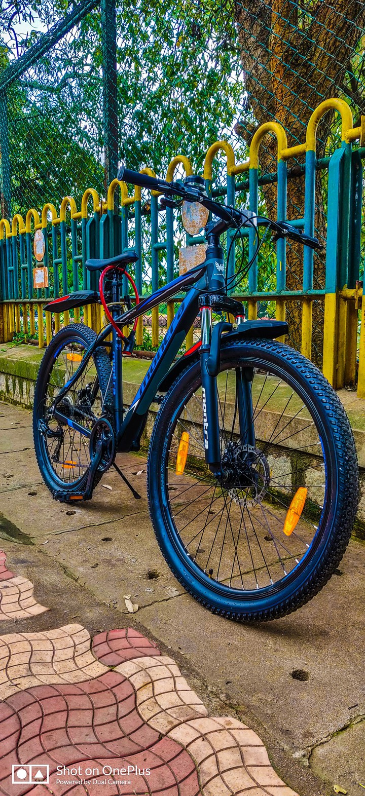 mountain bike