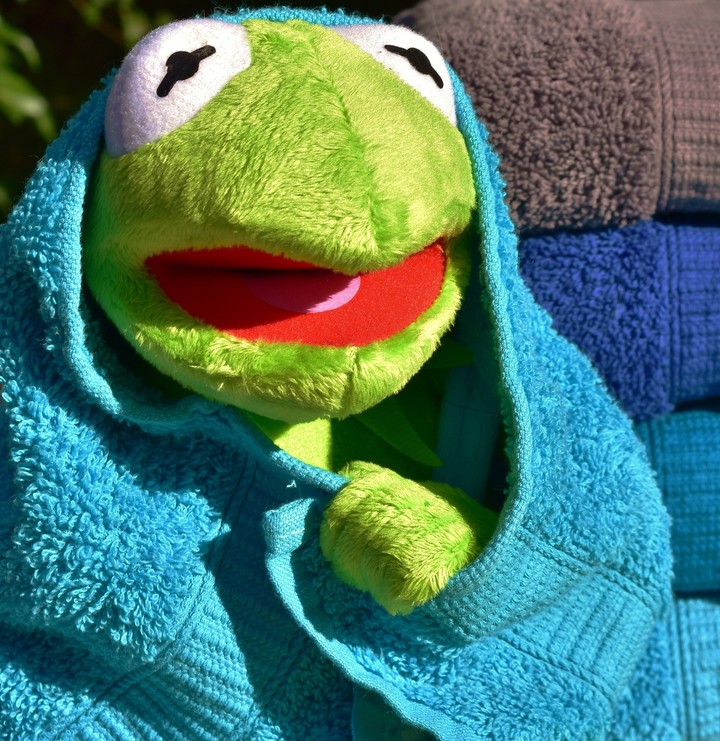 Kermit The Frog