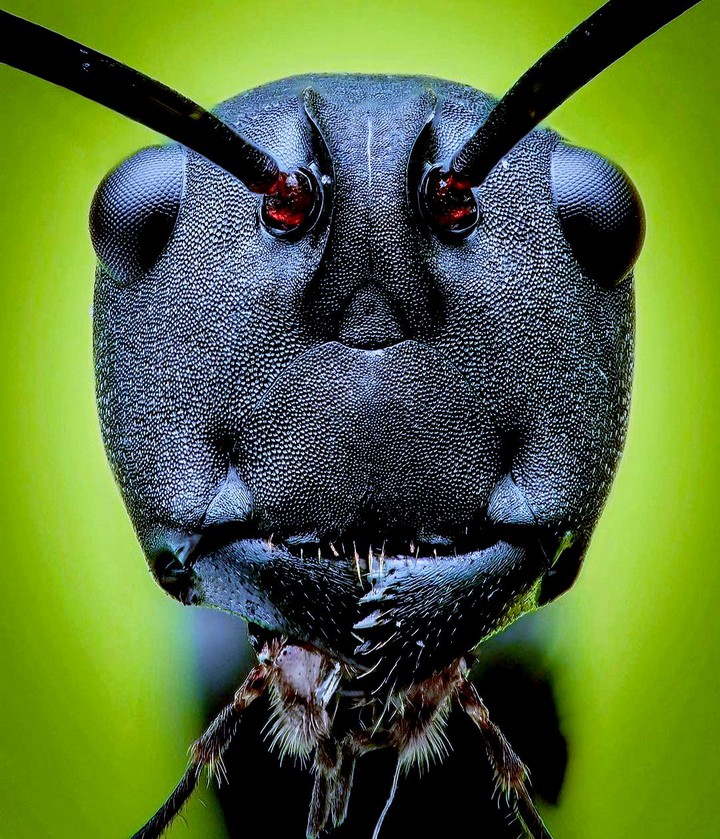 INTRESTED PIC