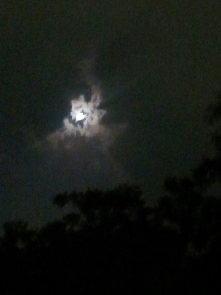 moon