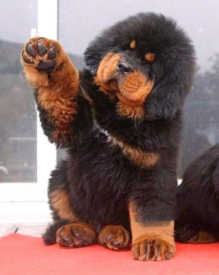 so cute