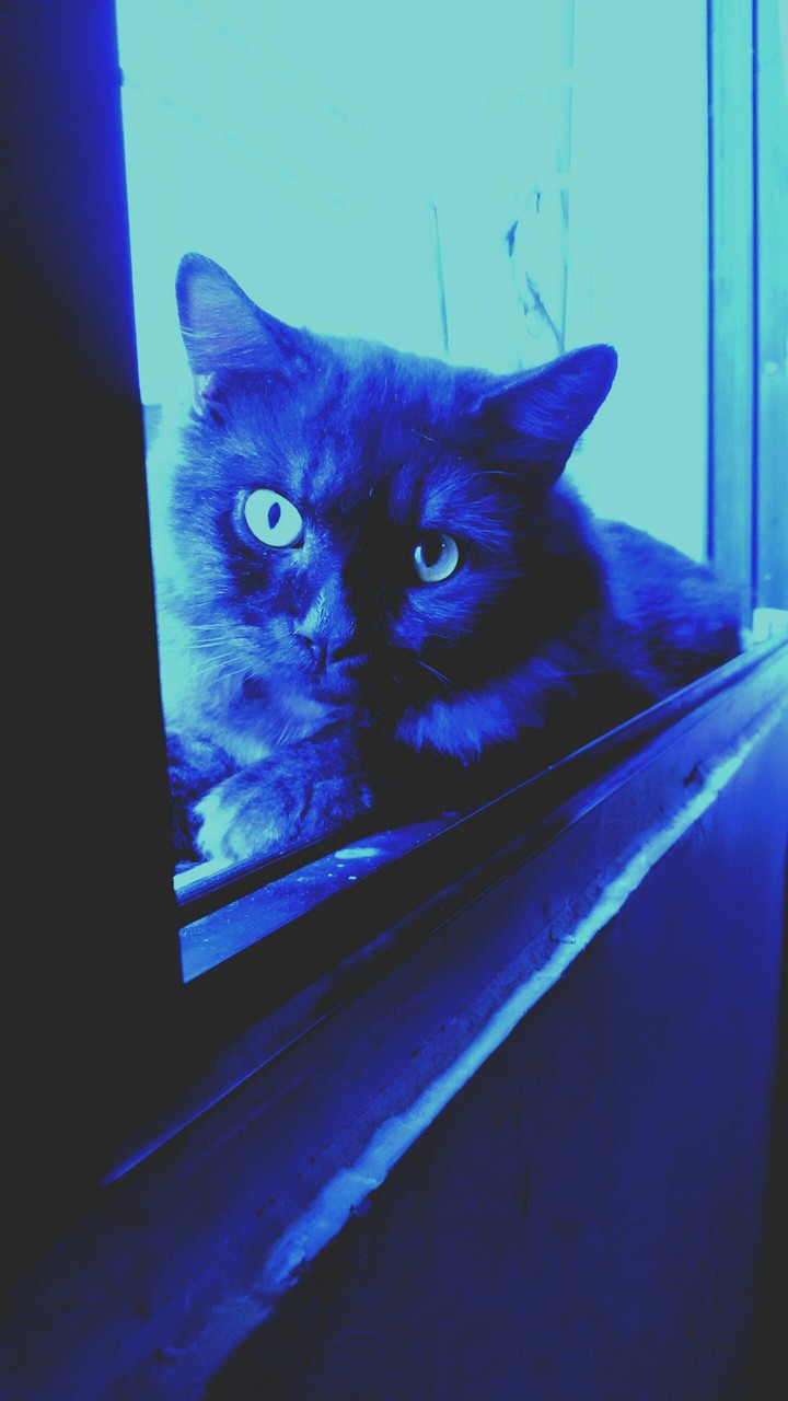 a curious little fella