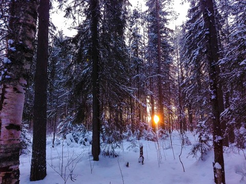 Winter.North.Sunset.
