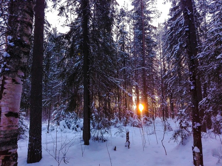 Winter.North.Sunset.