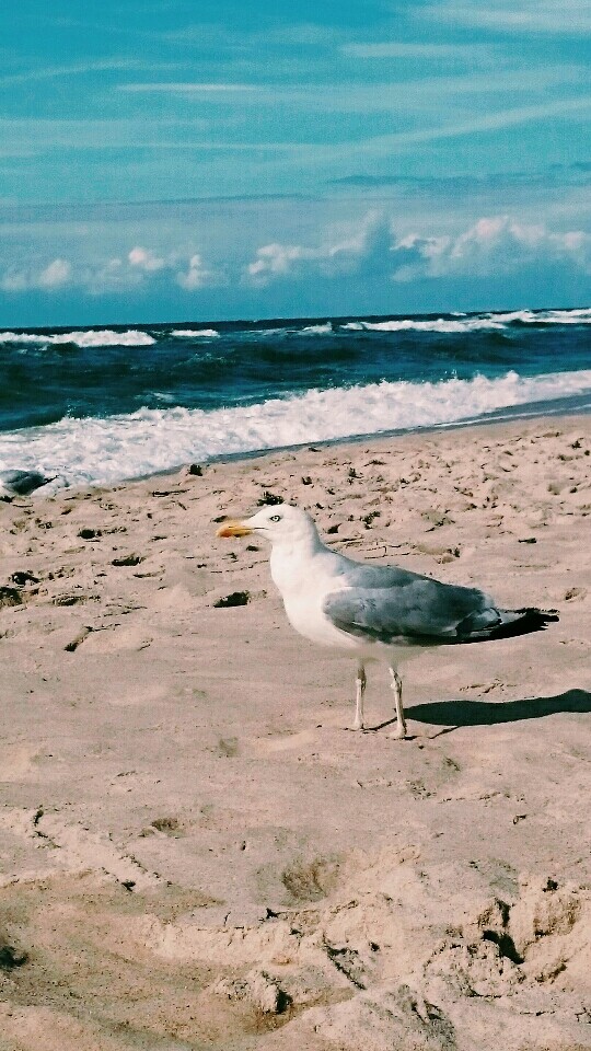 beach ❤