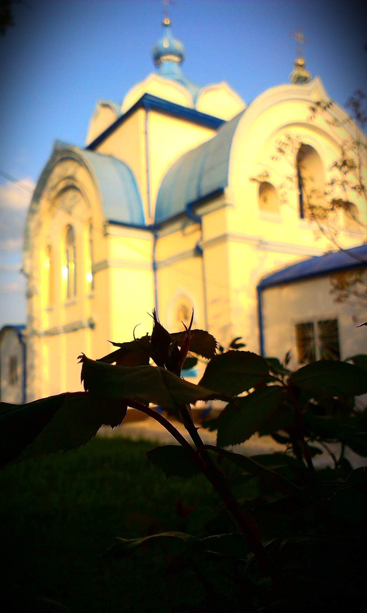 Orthodox Church