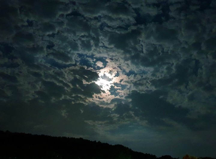 Moonlight