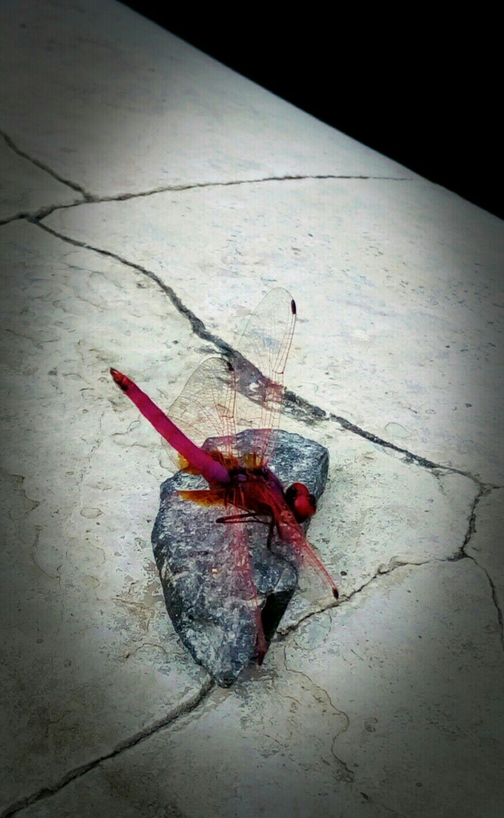 My own click!!